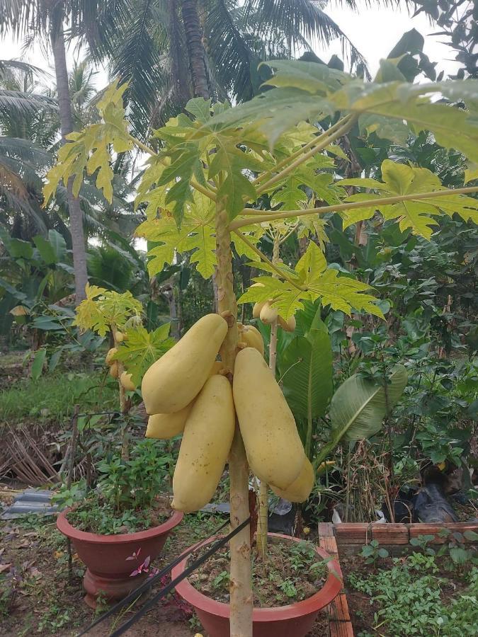 Homestay Nam Ham Luong Ben Tre Bagian luar foto
