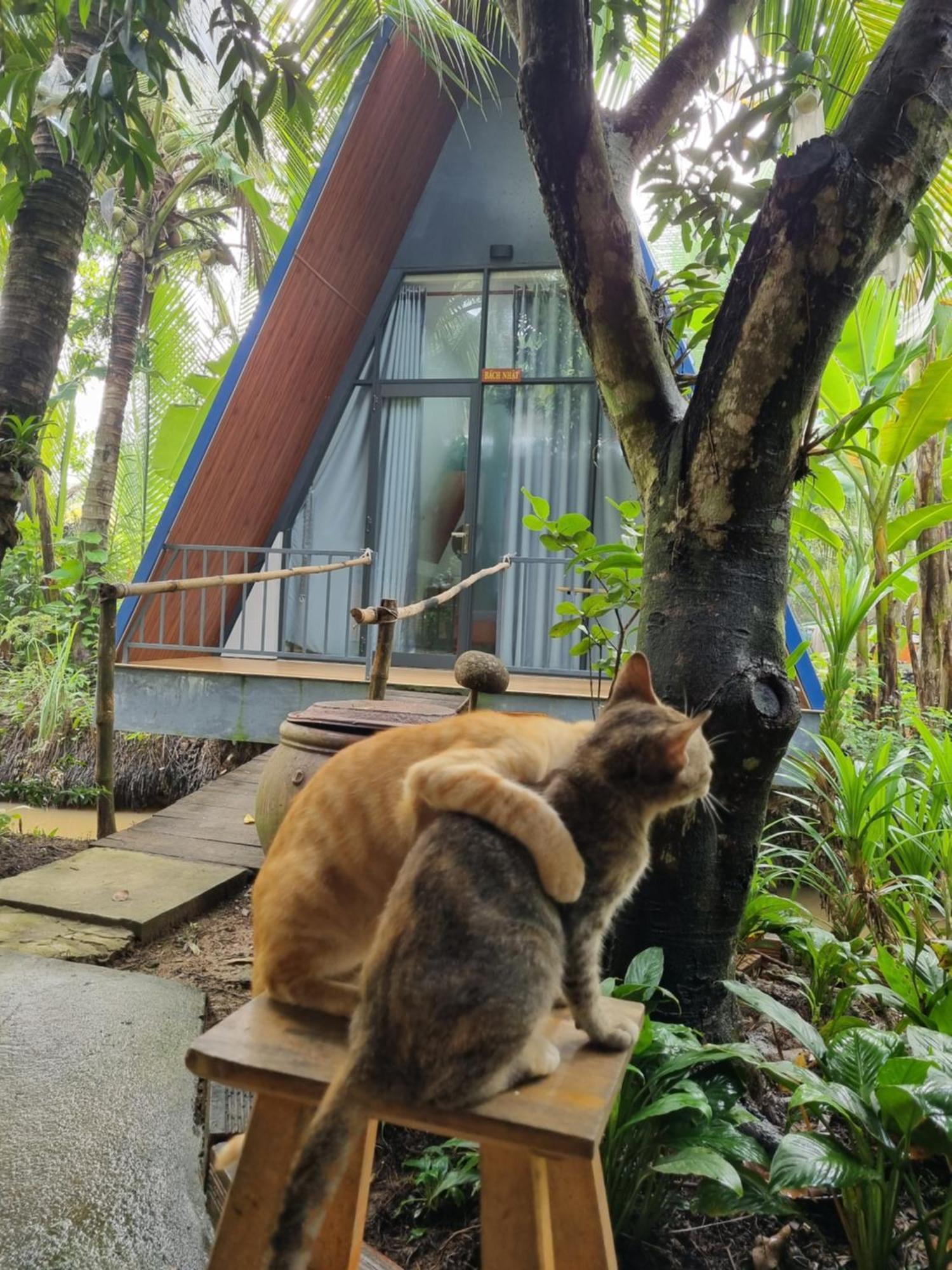 Homestay Nam Ham Luong Ben Tre Bagian luar foto